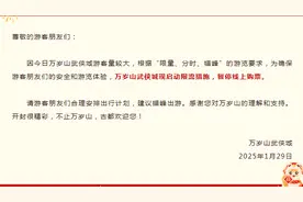 万岁山武侠城启动限流措施：暂停线上购票！图片
