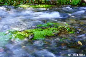 走进甘南秘境，如画的山间小溪图片