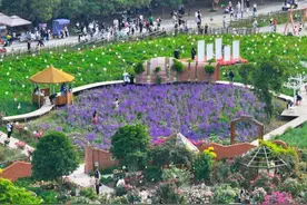 解锁多元新玩法！五一期间安徽将举办1500余项文旅活动图片