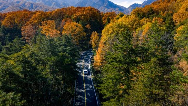 @南方小土豆！白云山免票福利来啦！邀你一起来看雪！