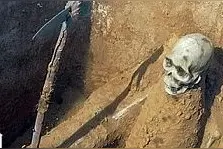 殷商的贵族武士与普通武士图片