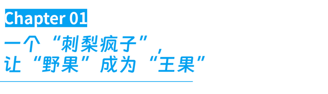 一颗浑身是刺的果子，在拼多多成为产业新贵？