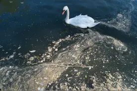 英国政府制定新规治理水污染 水务公司经营者违规将面临监禁图片