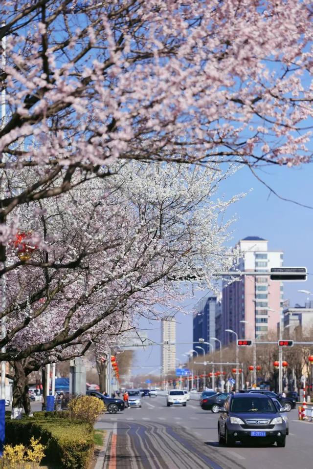 “动”“静”两相宜～颜值天花板～