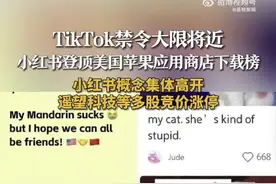 TikTok难民涌入小红书，美国网友帮做完形填空5题错俩图片