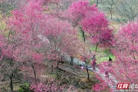 【每日一图@湖南】邵东这个小村藏着啥秘密？引得游客成群奔赴图片
