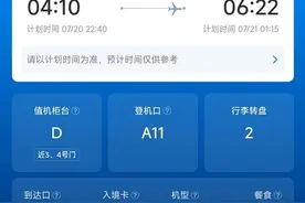 微软设备崩溃导致航班延误五小时 游客在异国他乡上演“人在囧途”图片