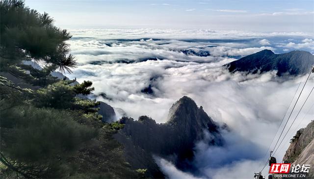 秋游时刻丨如果秋天有底色，那一定是黄山的样子吧？