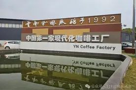 云南咖啡火了！探寻云南咖啡的背后……图片