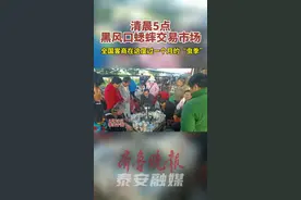 #清晨5点的泰安宁阳黑风口蟋蟀交易市场，全国客商在这度过一个月的“虫季”图片