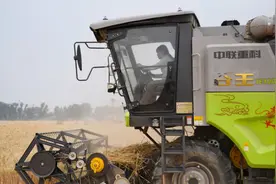 “又美又飒”——河南“00后”女机手踏麦浪一路向北图片