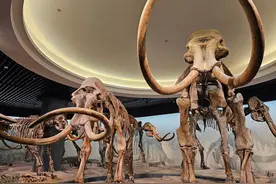 博物馆引领青少年踏上史前文明“探索之旅”图片