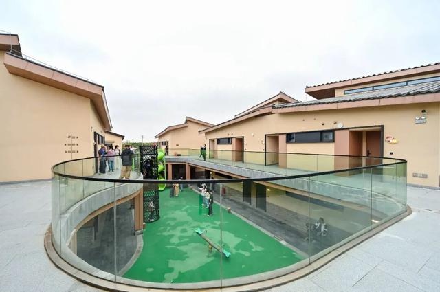 大V亲测刷屏！江夏宝藏玩法藏不住了