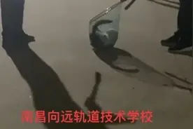 江西一学校回应“捉流浪猫”争议：批评教育保安，猫被带走饲养图片