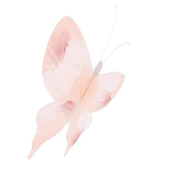 一秒圈“粉”！湛江这片浪漫花海，谁拍谁好看！