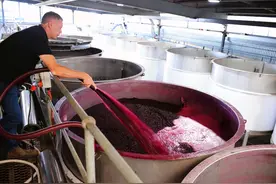 港媒：澳大利亚葡萄酒对华出口激增图片