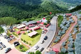 发现夏日里的甜蜜！平桂区大姚鹰嘴桃开园采摘图片