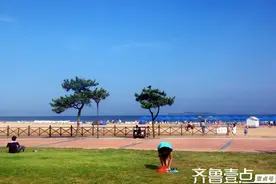 读城记·菏泽｜心海图片