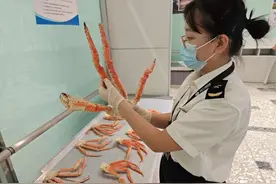 大兴机场海关查获旅客违规携带冰鲜蟹钳蟹腿入境图片
