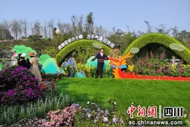 成都第六十届花会开幕 到文化公园看花花世界图片