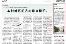 违章建筑拆除了（反馈）图片