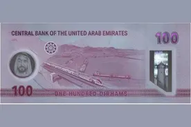 闪亮名片！“山东造”动车组登上阿联酋新版纸币图片