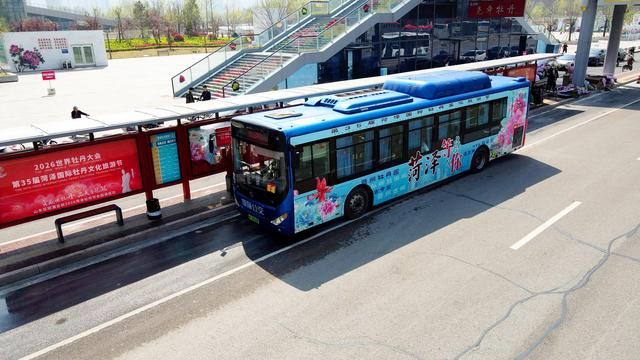 80辆牡丹主题公交出圈！菏泽最美的风景不仅是牡丹，更是这座城市的诚意与温度
