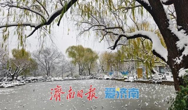 一年四季 泉在济南丨雪漫济南府 九景入画来