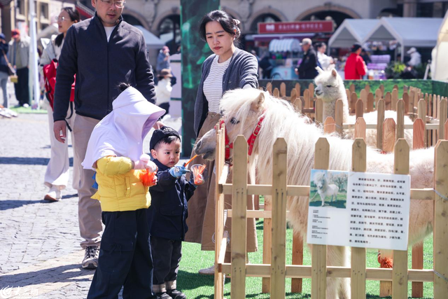 繁花、市集、音乐……青岛红树林度假世界清明小长假打造春日浪漫休闲之旅