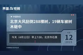 北京大风刮倒288棵树，19辆车被树木砸中视频封面