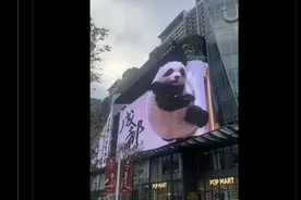 成都街头裸眼3D出圈海外，外国网友：很燃！图片