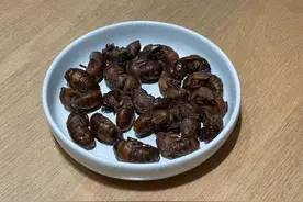 1.5元/只 量少价高的“夏季野味”火了图片
