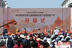 福鼎：以茶为媒 擎画白茶产业发展图景图片