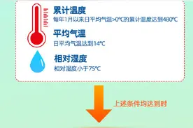 杨柳飞絮预计将持续约50天！这些防护要点需了解→图片