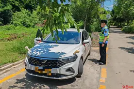 学车必看！暑期“驾考潮”开启，成都发布驾培“避坑”指南图片