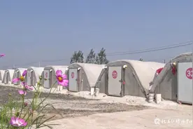 杞县葛岗镇小蒜黄铺就“金色”致富路图片