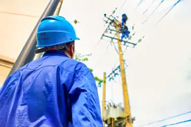 临安山核桃即将开炒，“充电宝”、电力“特种兵”齐上阵图片