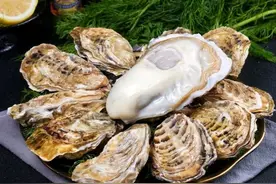 冬季最肥美！乳山牡蛎怎么吃？看这篇就够了图片