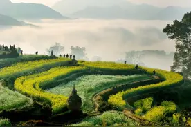 江西吃辣排行榜！谁赞成？谁反对？图片