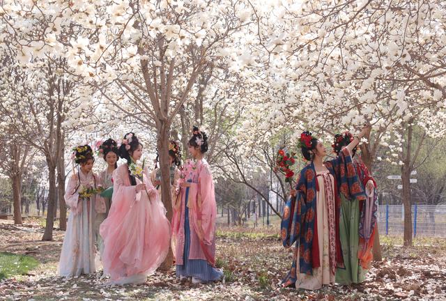 花开四月，北京赏花攻略来了