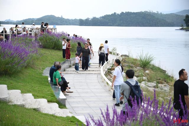 拿着机票进景区，免费！成都东部新区“航空+文旅”激活假日市场
