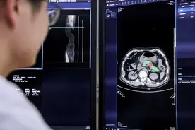 2025阿里公益榜揭晓图片