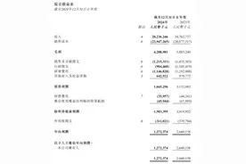 V观财报｜雅迪控股2024年电动自行车销量降超两成图片