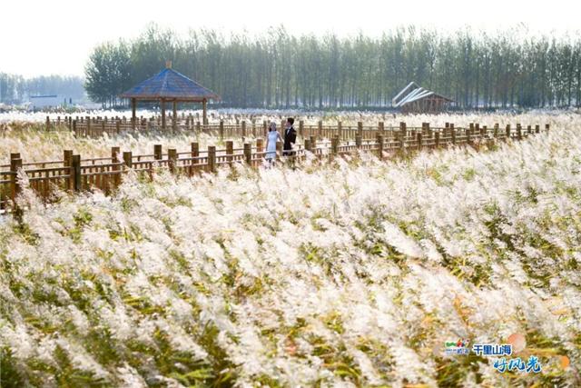 出发！抓住秋天的尾巴！威海“拾秋地图”上新啦