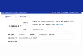 王濛实控公司申请“我的眼睛就是尺”商标图片