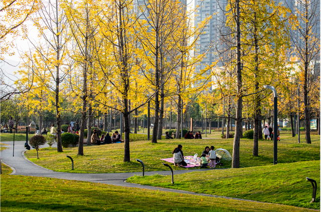 何以重庆｜云阳：向阳而生