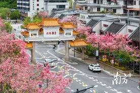 享珍稀温泉，看木棉花开！广州从化启动首届丝木棉节图片