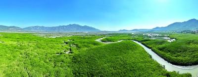 “国际湿地城市”，魅力不一般