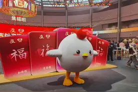 支付宝集福啦发布会启动，2025年集五福要从1套变为29套图片