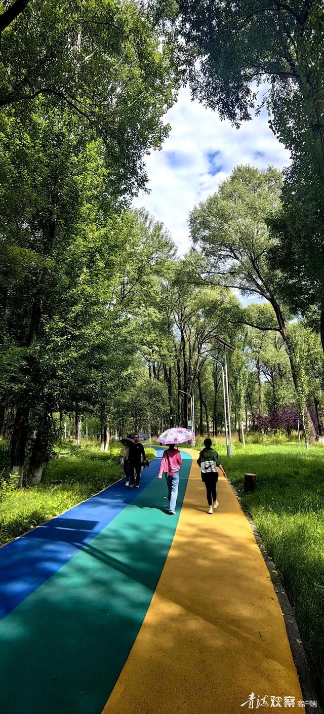 秋日西宁湟水河绿道：人在景中走 如在画中游